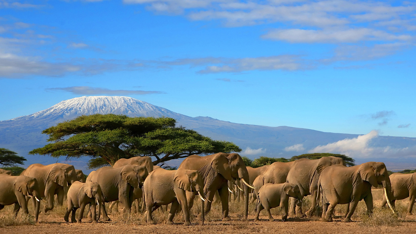 amboseli